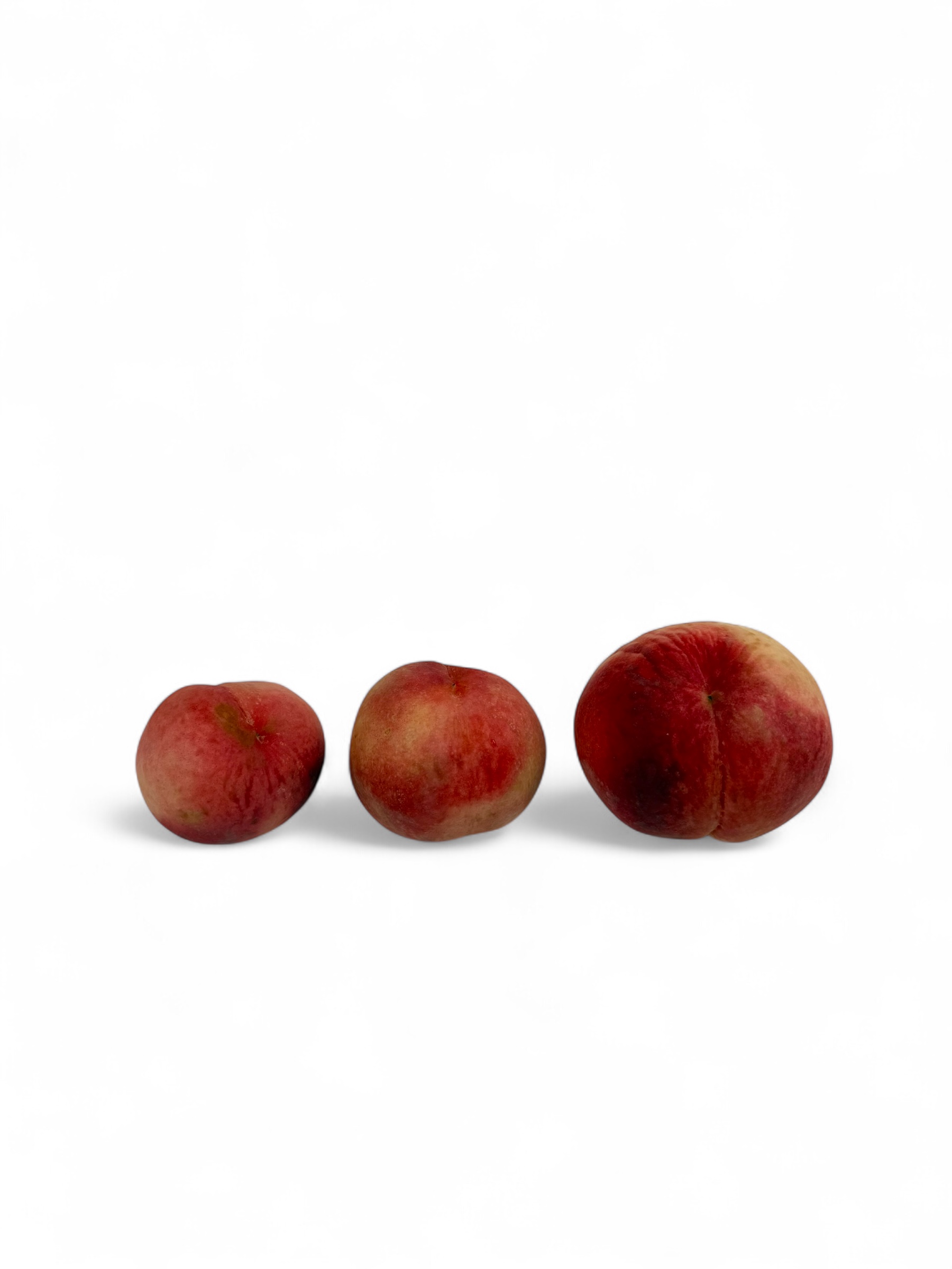 신선마켓 차돌복숭아 중대과, 4kg, 1개 이미지 8