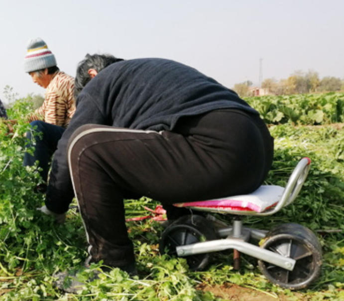 농사 농업용 의자 밭일 고추따는 딸기 비닐하우스 360도 회전 - 상세 이미지 3