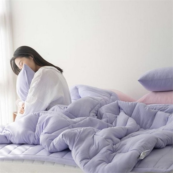 푹신한 사계절 차렵 이불 SS 부드러운 소프트 마이크로 이불 호텔식 - 상품 이미지