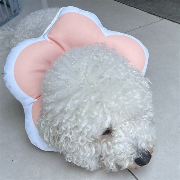 반려동물 강아지 꽃 넥 카라 L 편안한 고양이 꽃 넥 - 상품 이미지