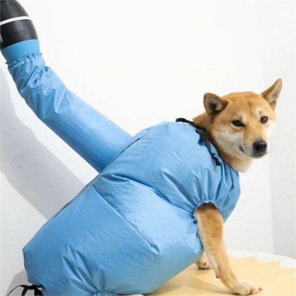 빠른 반려동물 드라이 건조복 드라이어 강아지 드라이 고양이 목욕 건조 - 상세 이미지 2