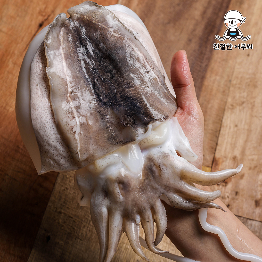 제철 서해안 갑오징어 손질 급냉 구이 숙회 700g 친절한어부씨 이미지 7