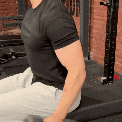 뱀부사니트_(2)_(1).gif