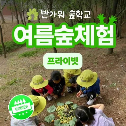 반가워숲학교 우리만의 특별한 숲체험 가격 추이 아이고고 반가워숲학교 우리만의 특별한 숲체험 - 최저가 150,000원