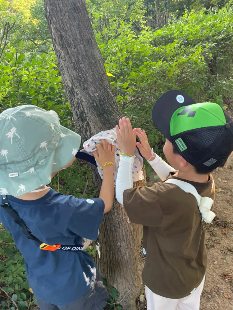 [겨울숲체험] 남산야외식물원 오감폭발 숲놀이 | 1회 숲체험 by 반가워숲학교 이미지 8