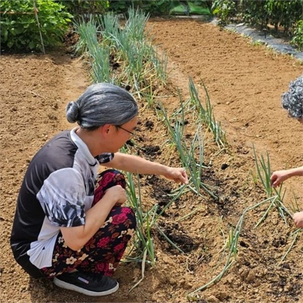 레트로 할머니 가발 곱슬머리 가발 흰머리 복고풍 분장용 무도회 옛날 - 상품 이미지