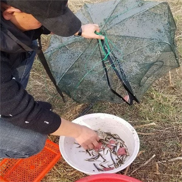 접이식 사각 통발 8구 휴대용 물고기 그물망 낚시망 해루질 - 상세 이미지 2