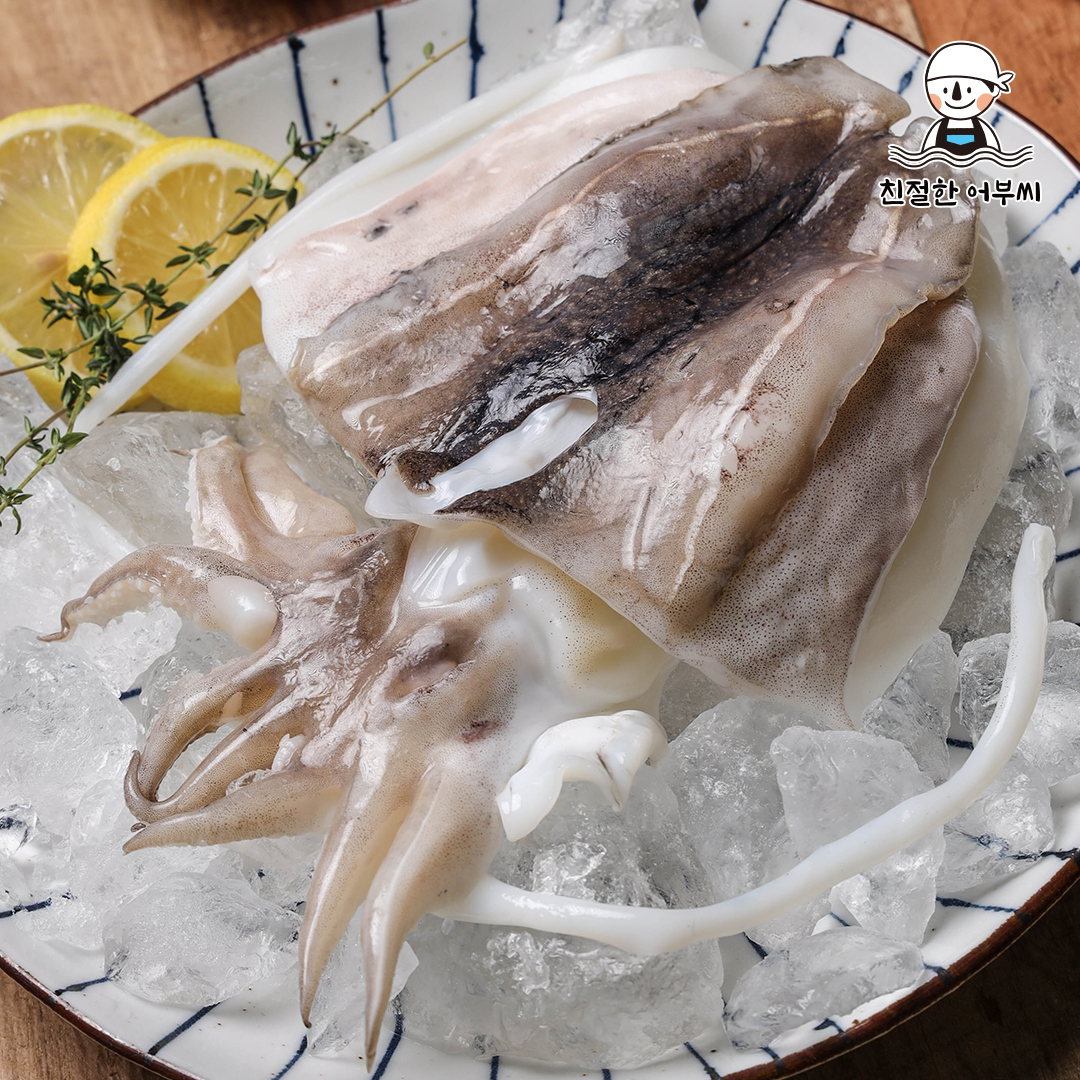 제철 서해안 갑오징어 손질 급냉 구이 숙회 700g 친절한어부씨 이미지 6