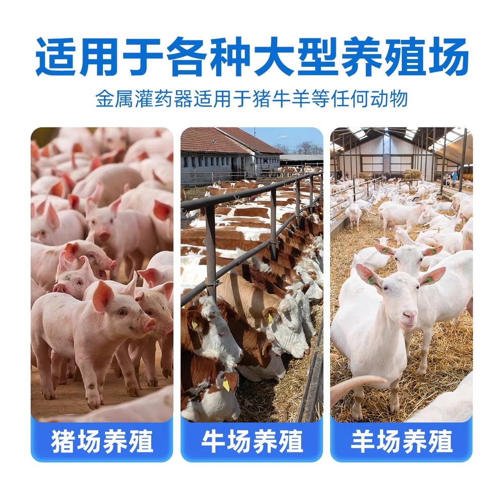개미산 연속 주사기 벌통 양봉 용품 접종 방제용 투약 주입기 - 상세 이미지 4