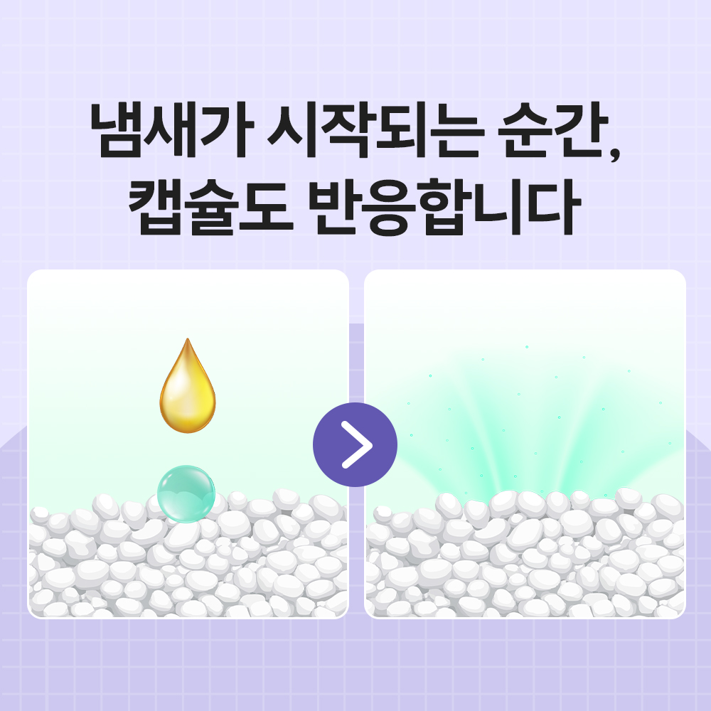 바이랩 먼지없는 탈취 캡슐 고양이 모래 화장실 냄새 제거 카사바, 3kg, 1개 이미지 6