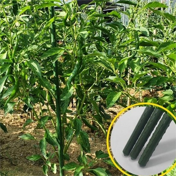 토마토 화분 식물 지지대 120cm 3P 오이 텃밭 식물 지지대 버팀대 - 상품 이미지