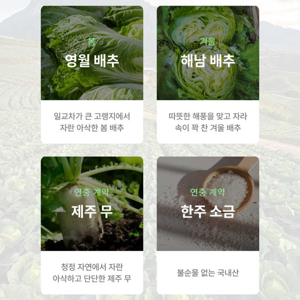 국내산 국산 김치 서울식 저염 김치 서울 2kg 배추 포기 이미지 7