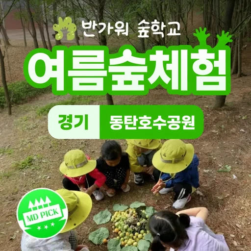 동탄호수공원 여름 숲체험 by 반가워숲학교 가격 추이 아이고고 동탄호수공원 여름 숲체험 by 반가워숲학교 - 최저가 39,000원