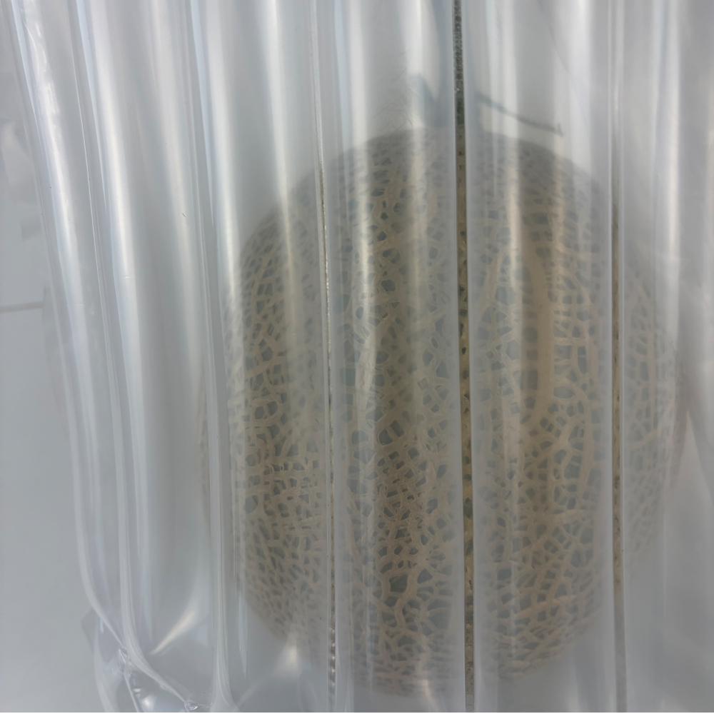 고당도 머스크메론 특품 비파괴 당도선별 15브릭스 프리미엄 멜론 선물용 1수 2kg - 상세 이미지 4