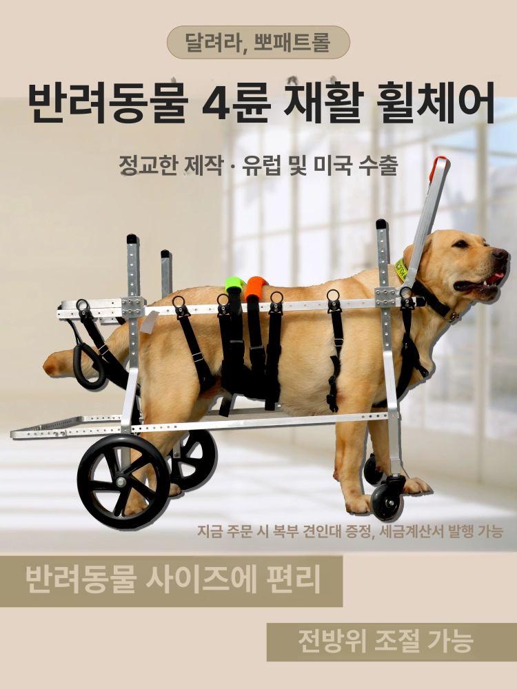 대형견 강아지 휠체어 2륜 리트리버 사모예드 진돗개 보조기 보행기 M (15~20kg) - 상세 이미지 2