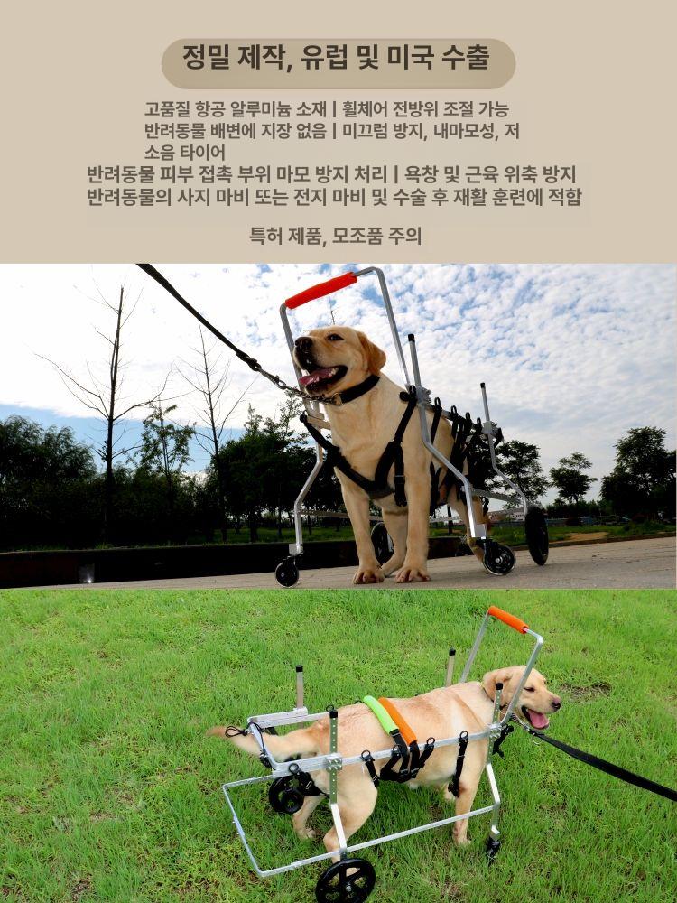 대형견 강아지 휠체어 2륜 리트리버 사모예드 진돗개 보조기 보행기 M (15~20kg) - 상세 이미지 3