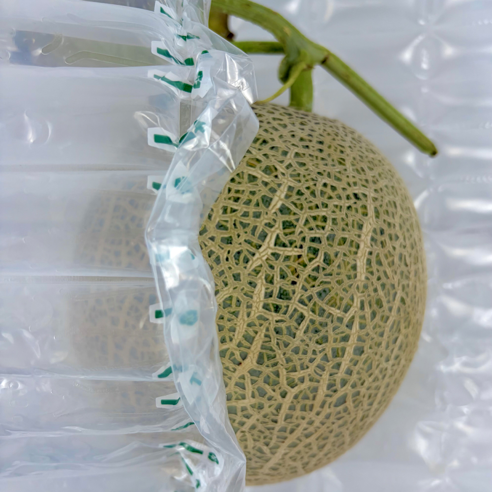 고당도 머스크메론 특품 비파괴 당도선별 15브릭스 프리미엄 멜론 선물용 1수 2kg - 상품 이미지