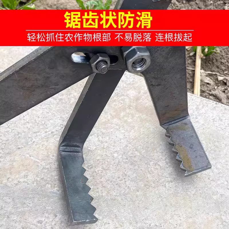 고추대 뽑는 장비 기구 간단버전 지렛대 - 상세 이미지 4