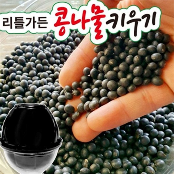 가정용 콩나물 재배기 170x200mm 수경재배 콩나물 키우기 채소 새싹 용기 - 상품 이미지