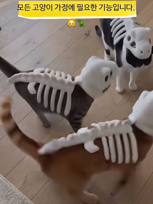 고양이 강아지 공룡뼈옷 공룡뼈대옷 머리 A. 공룡 뼈대 인형 흰색 미발광(약 80cm) - 상세 이미지 5