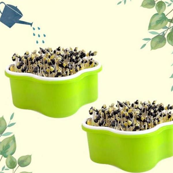 수경재배 새싹 채소 재배기 19.5cmX7.5cm 실내 가정용 재배기 키우기 콩나물 - 상품 이미지