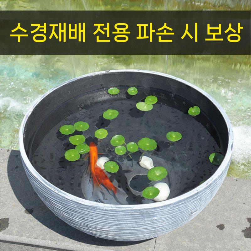 연꽃 수경재배 화분 수련분 특대형 항아리 대형 인테리어 거실화분 베란다 그레이 소형 - 상세 이미지 3