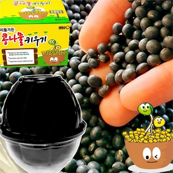 수경재배 콩나물 키우기 170x200mm 스마트 가정용 콩나물 재배기 키트 새싹 - 상품 이미지