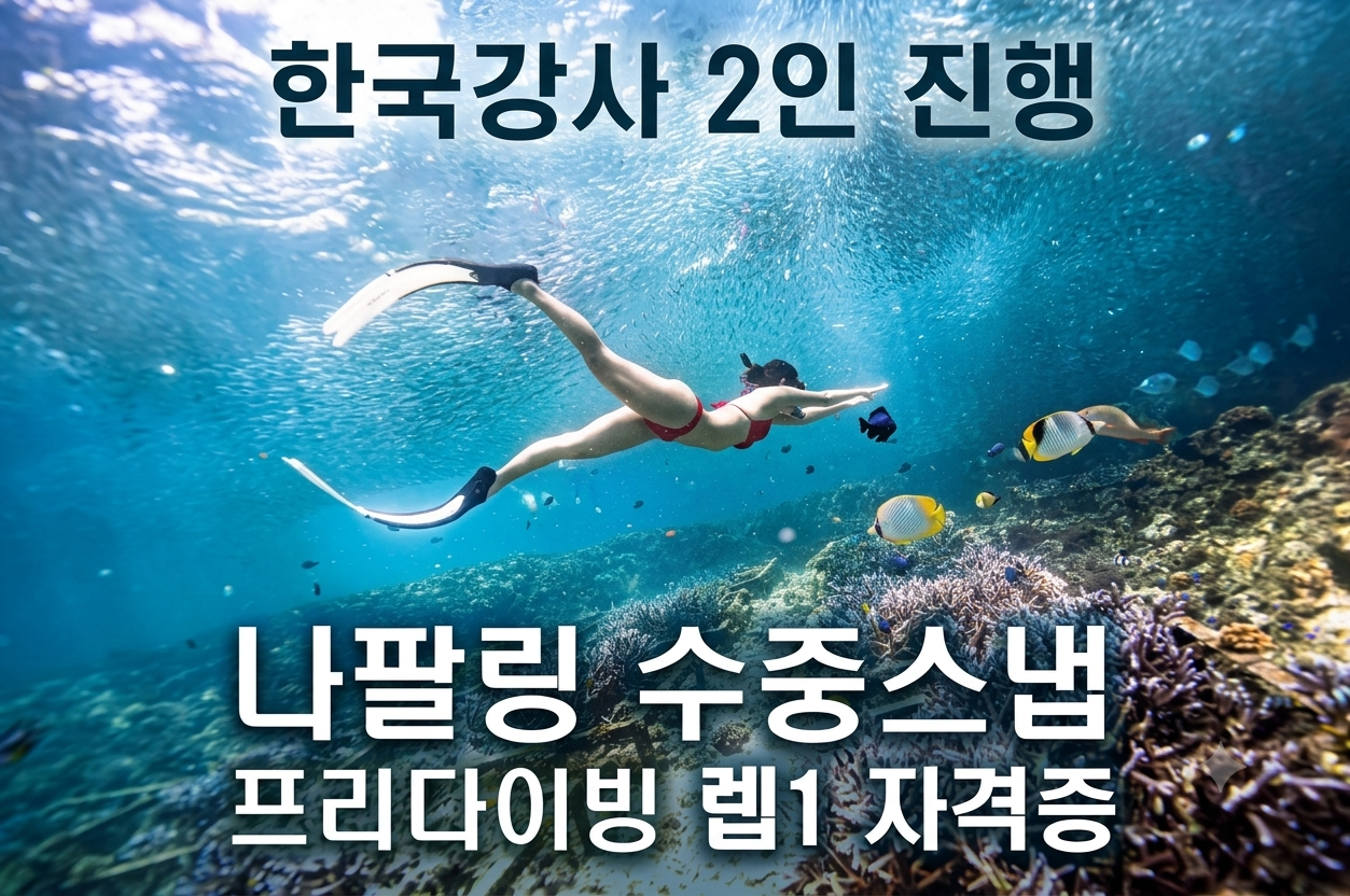 보홀 수중스냅 한국강사2명 4H강습 렙1자격증 물공포극복 프리다이빙 나팔링 체험 강습 투어 - 상품 이미지
