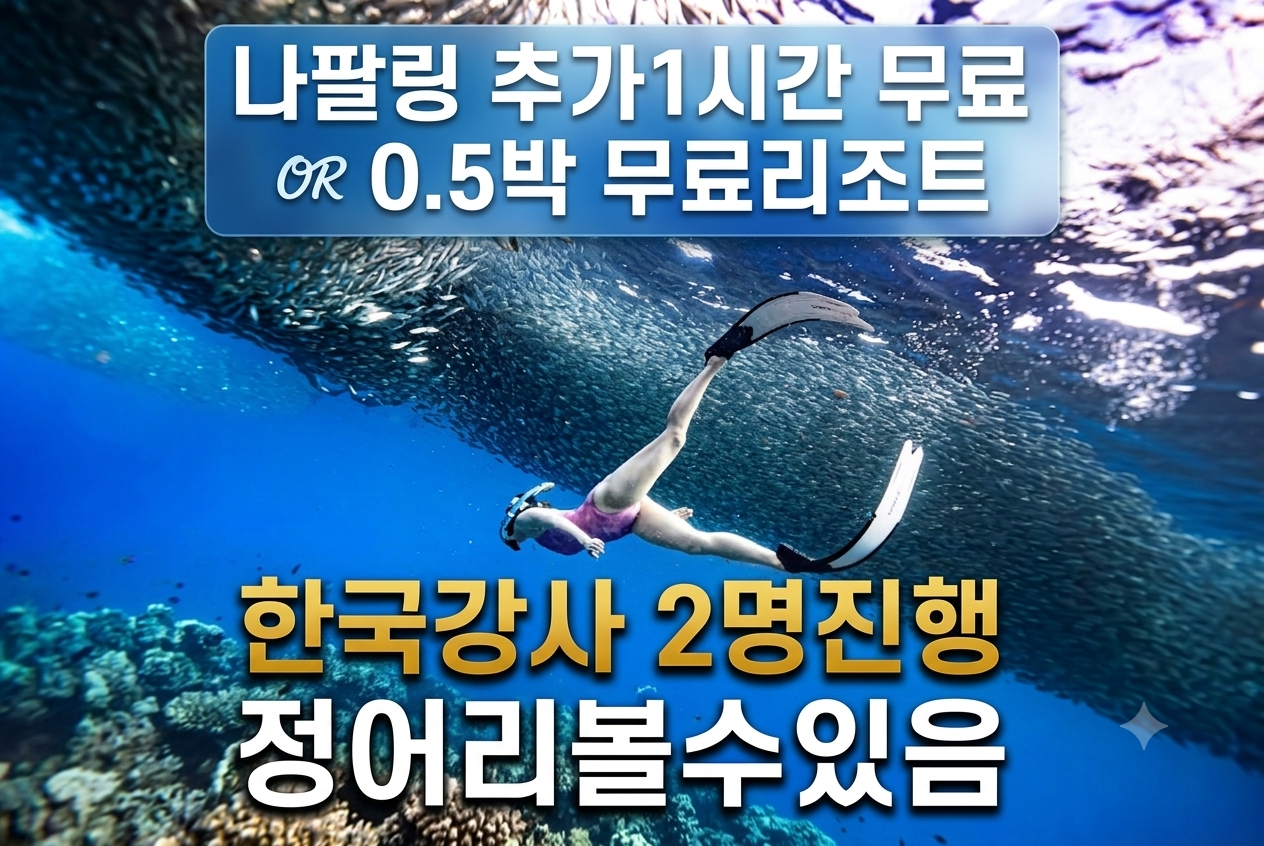 보홀 26' 정어리보는투어 무료0.5박 나팔링1H추가 한국강사2명 체험프리다이빙 강습 스냅 - 상품 이미지