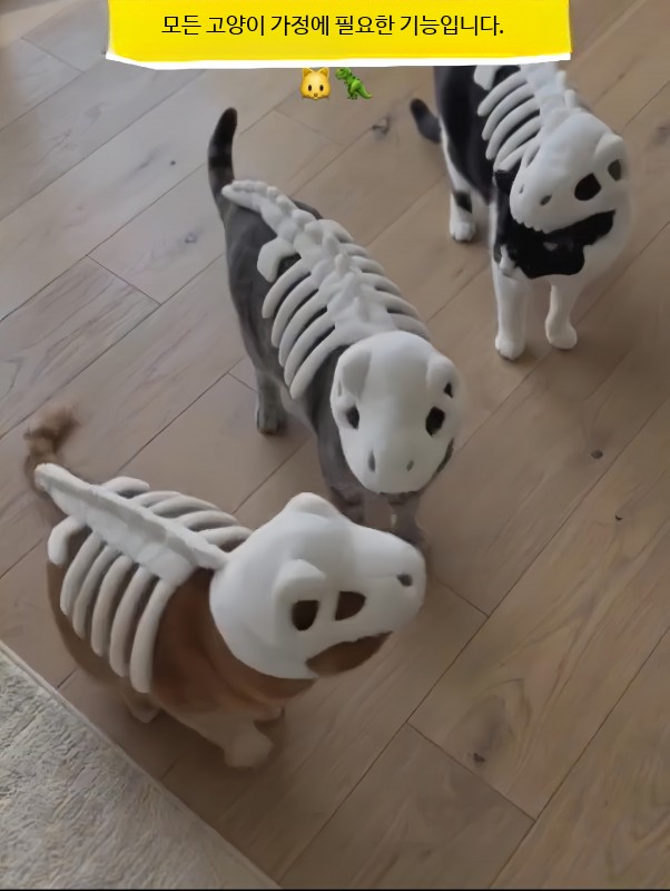 고양이 강아지 공룡뼈옷 공룡뼈대옷 머리 A. 공룡 뼈대 인형 흰색 미발광(약 80cm) - 상세 이미지 3