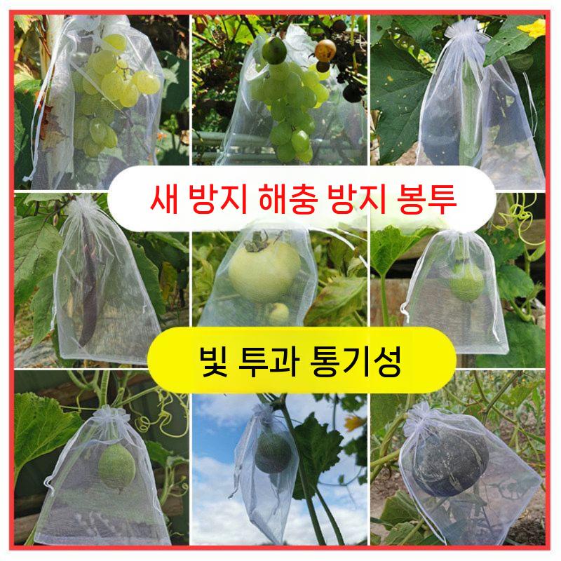 과수원 과일싸개 그물 보호망 네트망 방충봉투 텃밭 9x12cm 100pcs - 상세 이미지 4