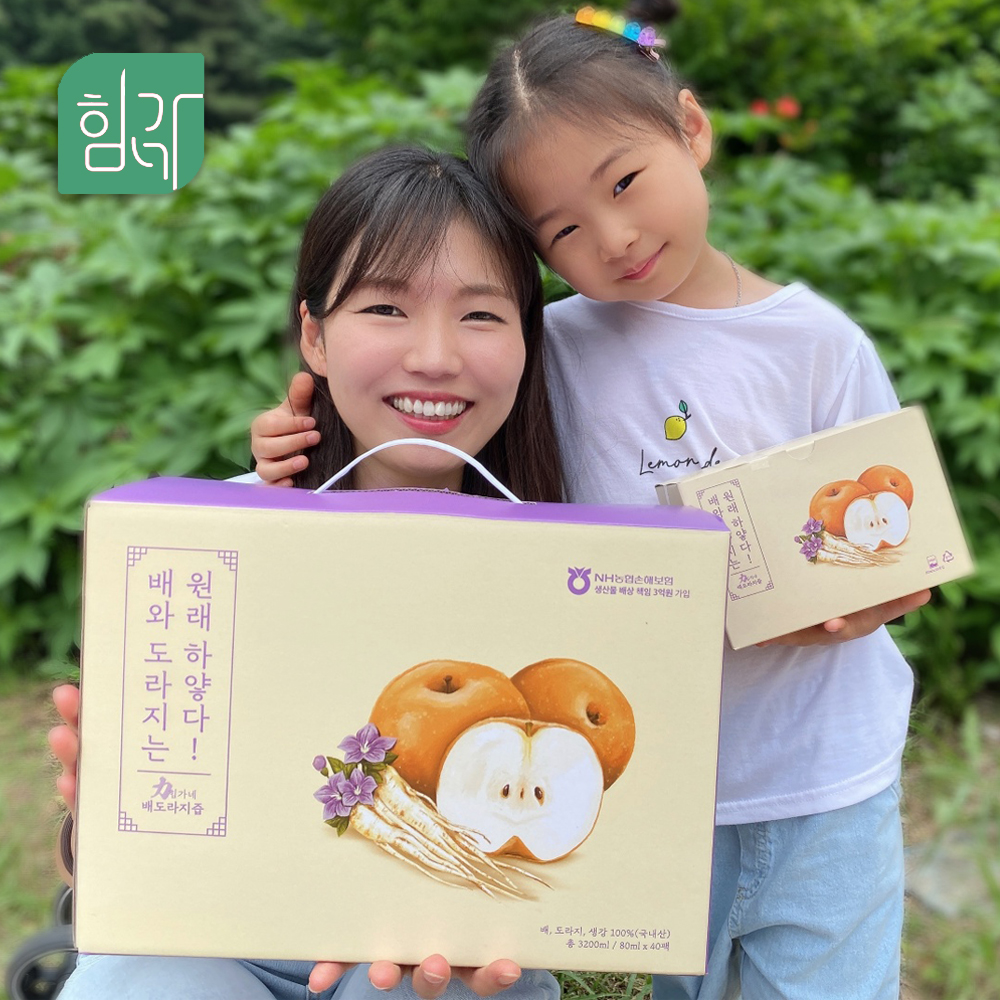 힘가네 국산 도라지배즙 1박스 80ml x 40포 상품 이미지