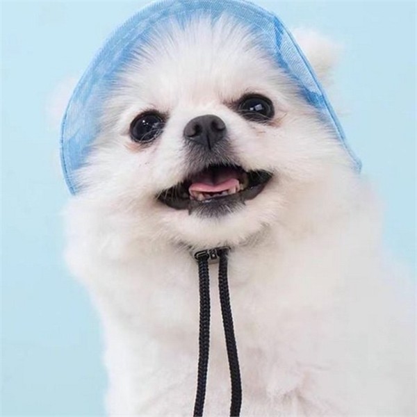 강아지산책 반려동물 버킷 햇 햇빛 반려동물 여름 모자 통기성 캠핑 - 상품 이미지