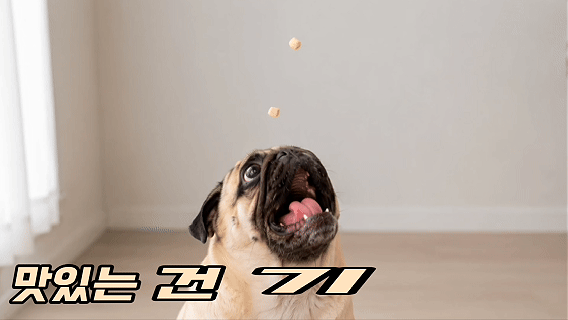 [국내산] 견생진미 고양이 강아지 동결건조 간식 북어트릿, 95g, 1개 이미지 6