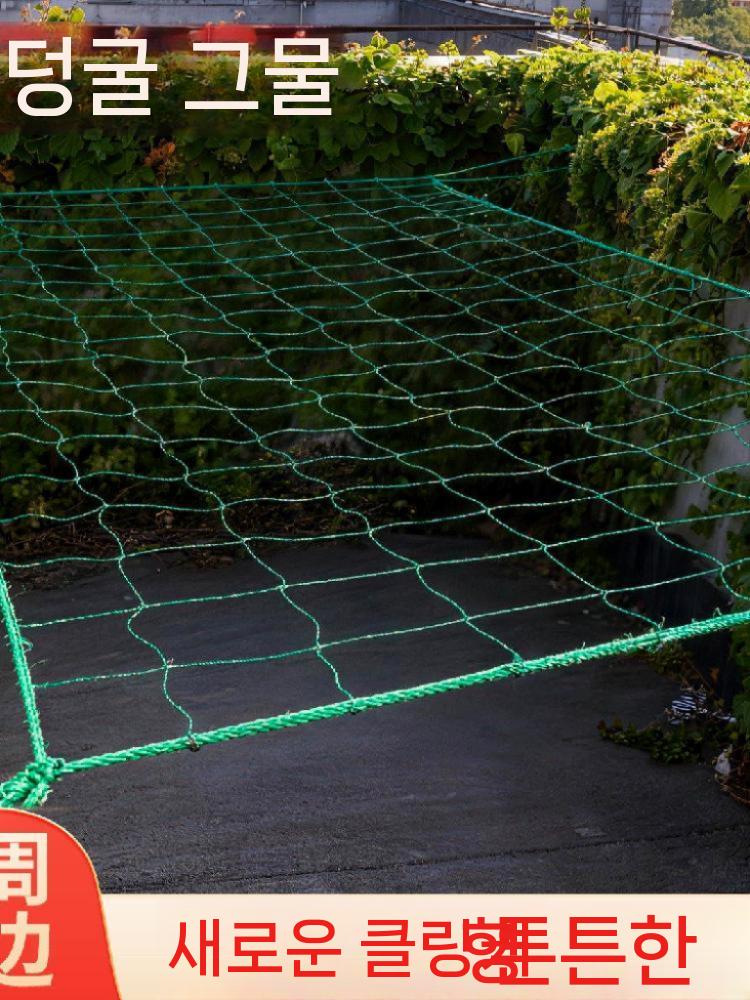 농사그물망 작물망 오이 고추 덩굴 그물지지대 텃밭 10cm 메쉬 1x2m - 상세 이미지 3