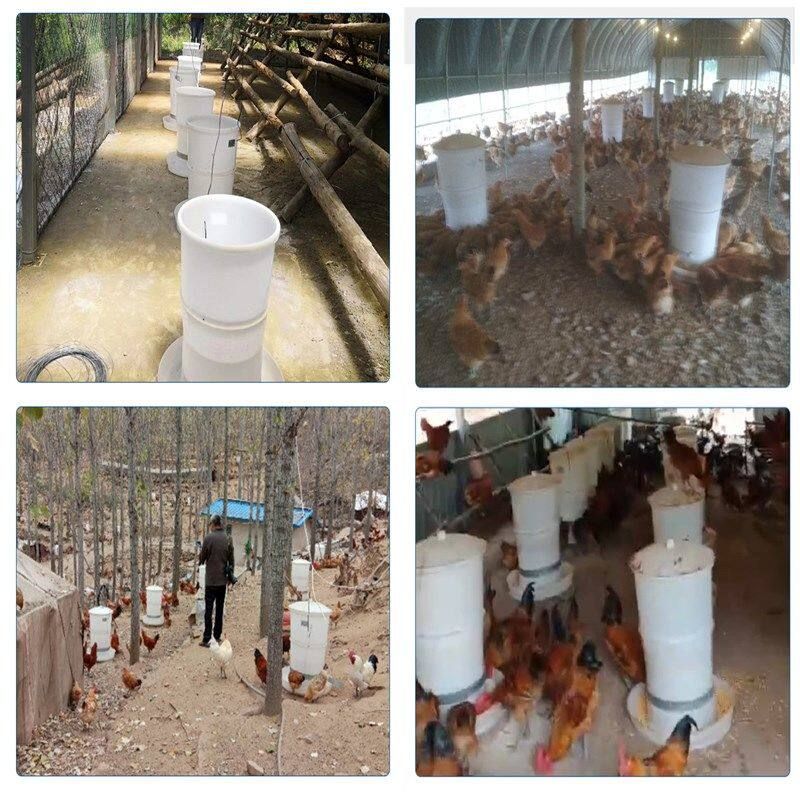 닭 모이통 자동 사료통 병아리 먹이통 조류 닭장 30kg 블루투스 제어 모델 - 상세 이미지 4