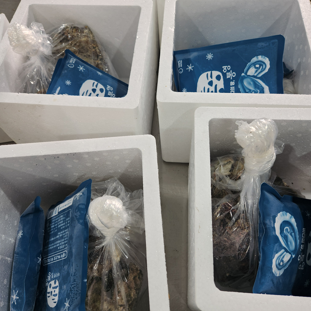 통영 산지직송 삼배체굴 자연산 바위굴 혼합세트 생굴 제철 국내산 2kg 이미지 7