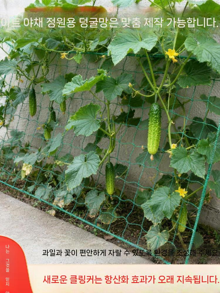 농사그물망 작물망 오이 고추 덩굴 그물지지대 텃밭 10cm 메쉬 1x2m - 상세 이미지 4