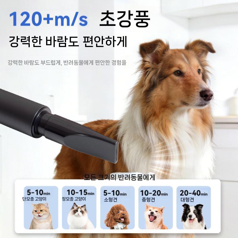 강아지 드라이기 애견 드라이어 건조기 고양이 털말리기 파란색 - 상세 이미지 4