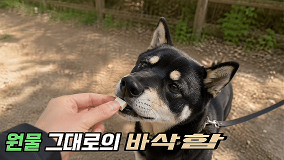 [국내산] 견생진미 고양이 강아지 동결건조 간식 북어트릿, 95g, 1개 - 상세 이미지 5