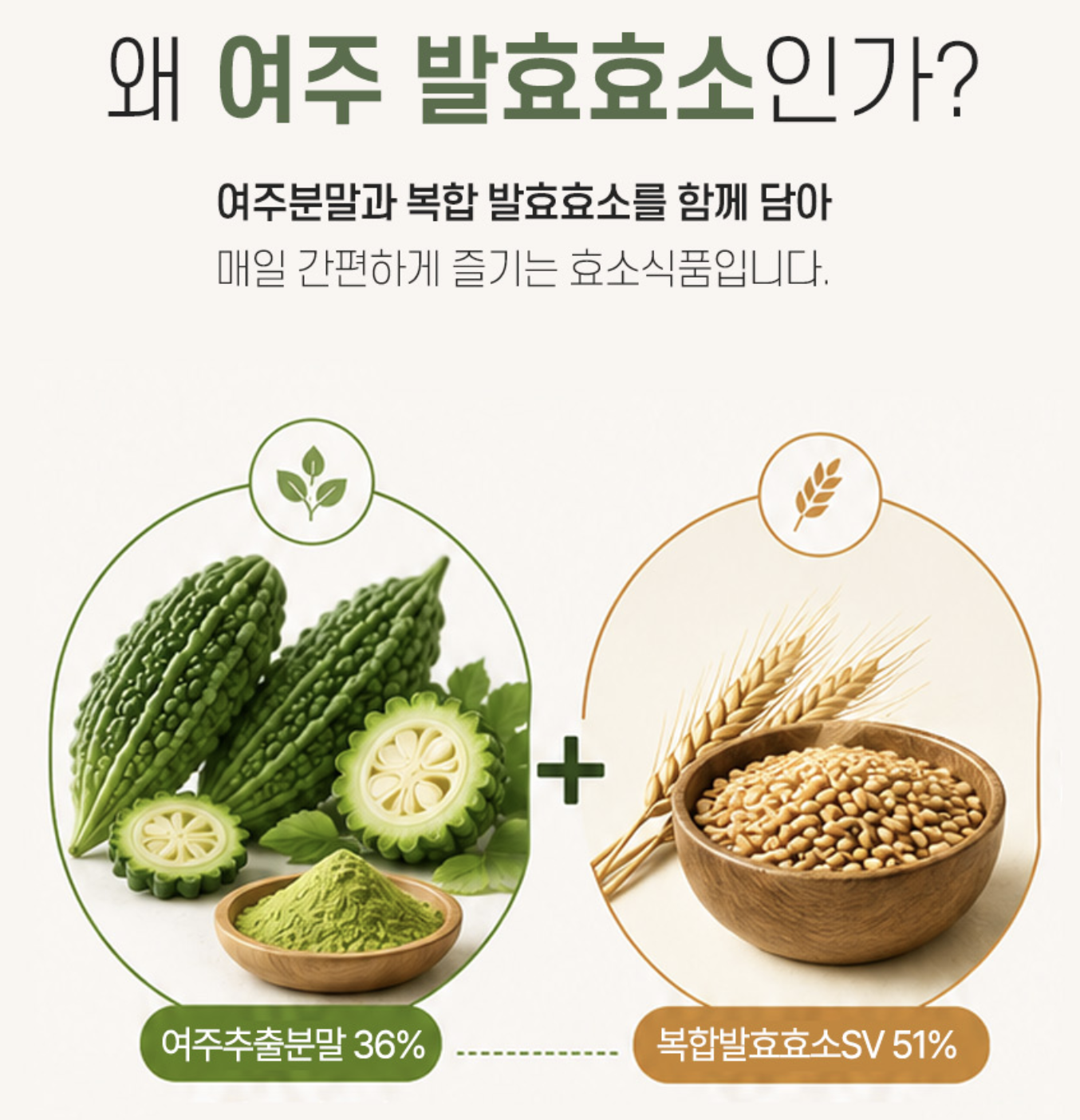 여주효소 먹는법 역가수치 여주 발효 효소 효능 이미지 6