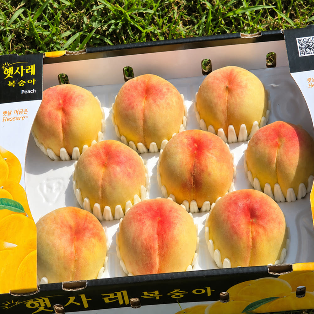 햇사레 복숭아 백도 장호원 황도 4kg 청년복숭아 가격 추이 과일장이 햇사레 복숭아 백도 장호원 황도 4kg 청년복숭아 - 최저가 34,900원