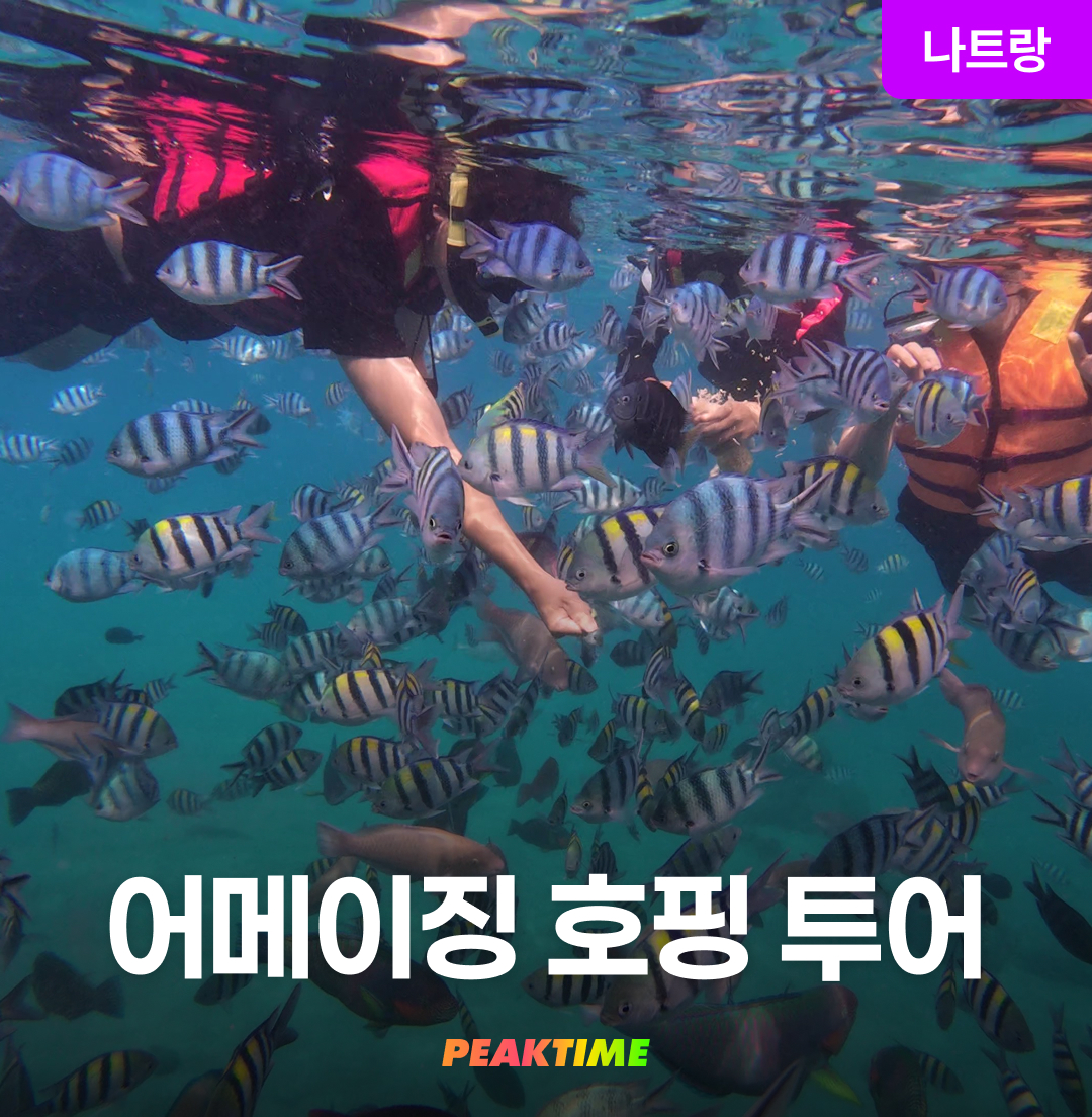나트랑 어메이징 호핑투어 스노쿨링 픽업샌딩