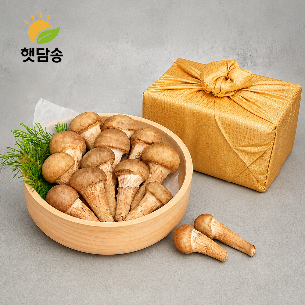 [햇담송]국내산 친환경 참송이버섯 1등급 특대사이즈 최상급 1kg 무농약 농협납품 - 상세 이미지 2