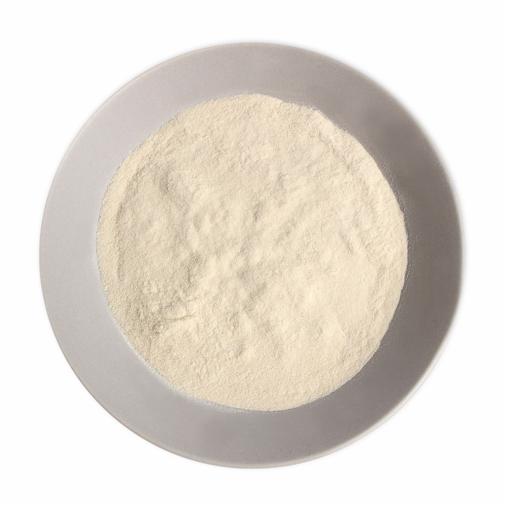 한천가루 식물성 분말 GAR TYPE 2통 400g + 계량스푼 - 상세 이미지 3