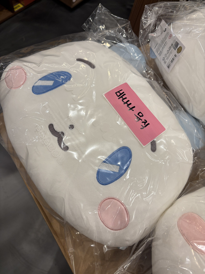 MIIMU Big Face Plush Cushion — PLAVE
