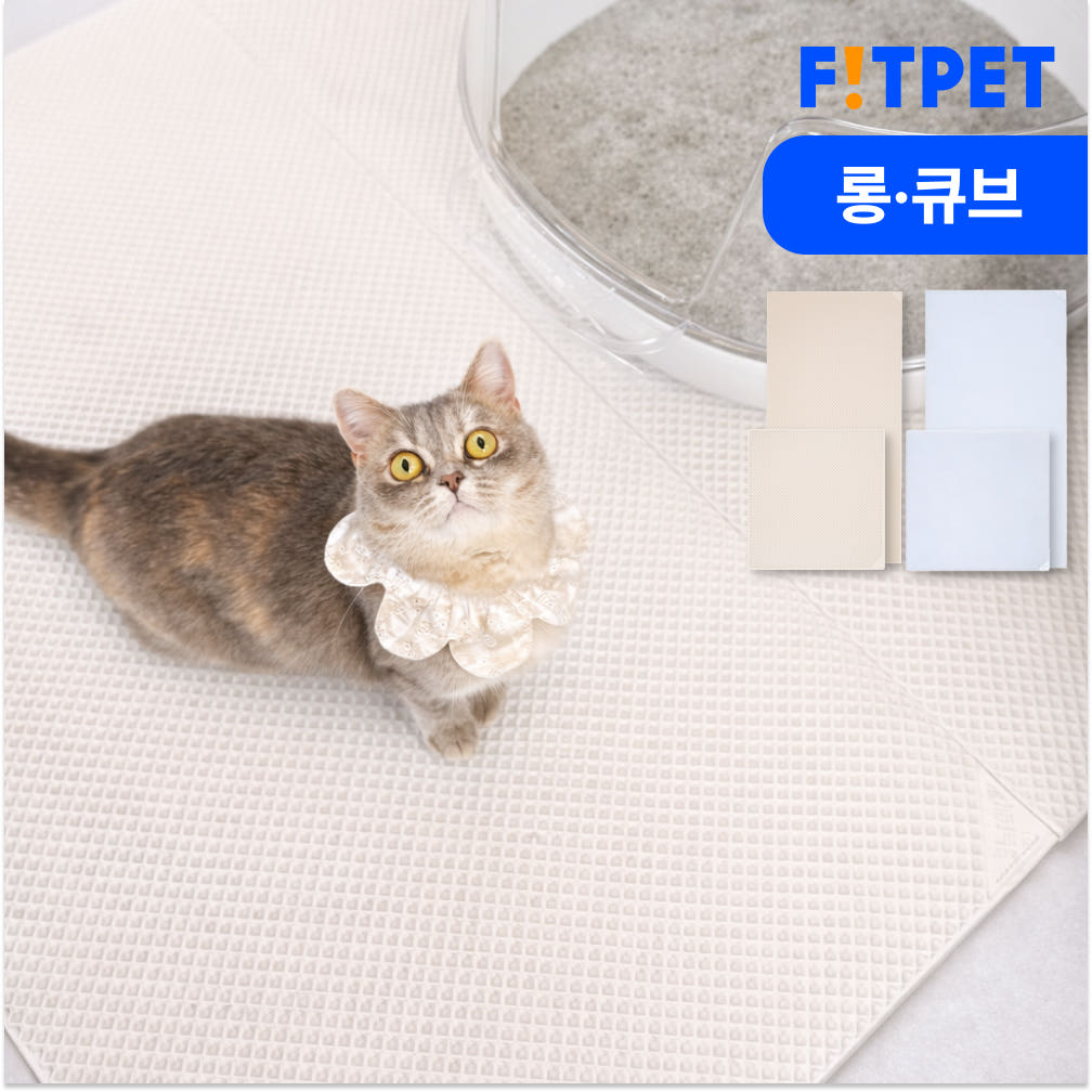 핏펫 냥쌤 고양이 모래 매트 캐치 투명 사막화방지 화장실 발판 패드 대형
