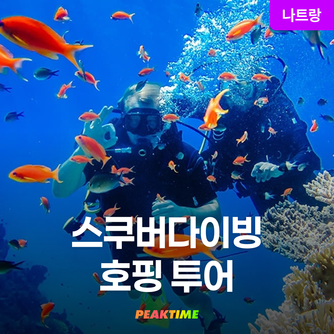베트남 나트랑 호핑투어 스쿠버다이빙 씨워커 씨워킹 스노쿨링 - 메인 이미지