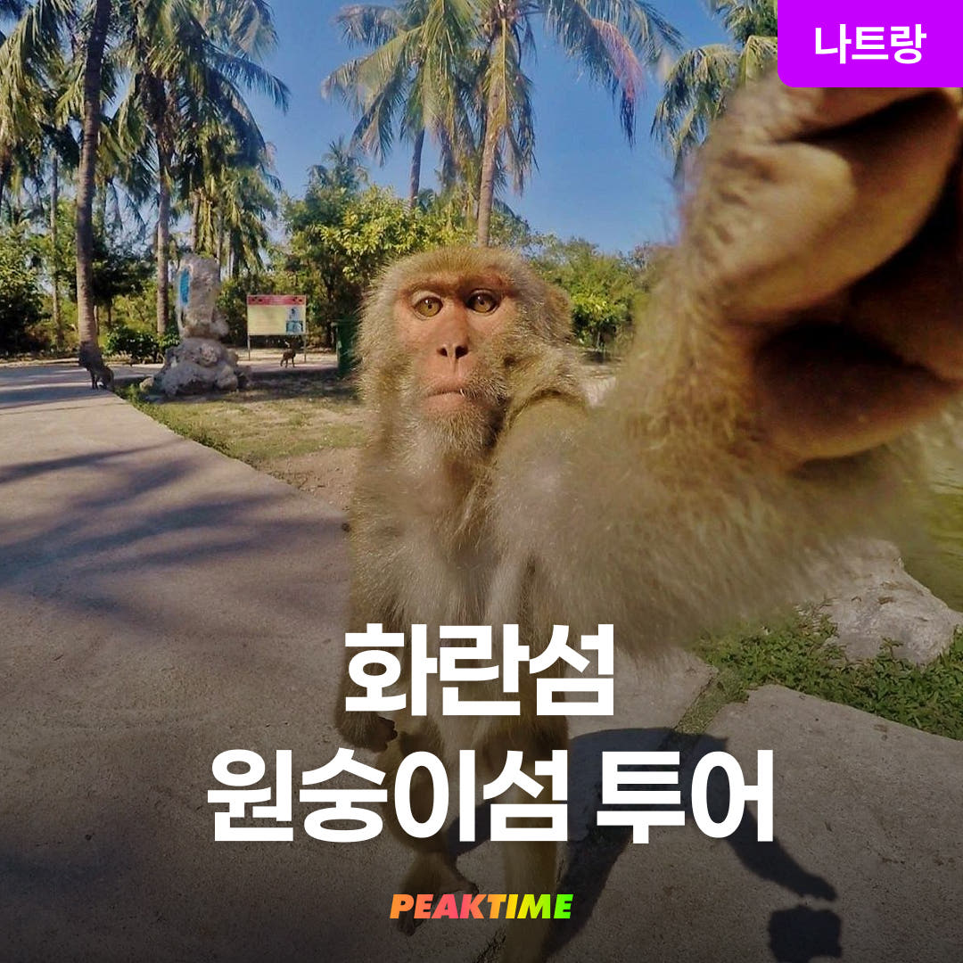 피크타임:PEAKTIME 나트랑 원숭이섬 투어 화란섬 스피드보트
