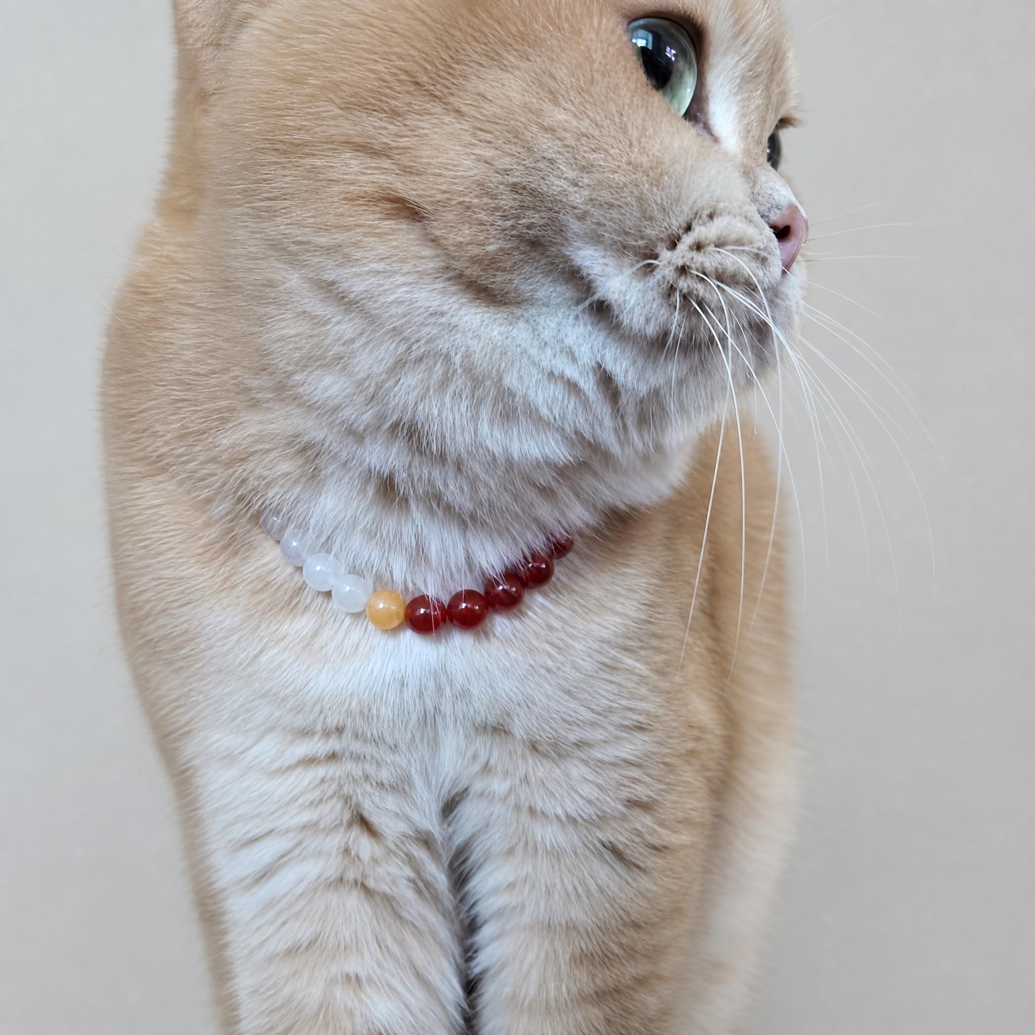 [온오담] 1:1 맞춤제작 강아지 고양이 사주오행 궁합 이름표 인식표 목걸이 - 상세 이미지 4